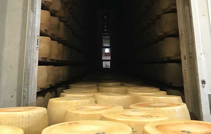  Industria stagionatura formaggi 